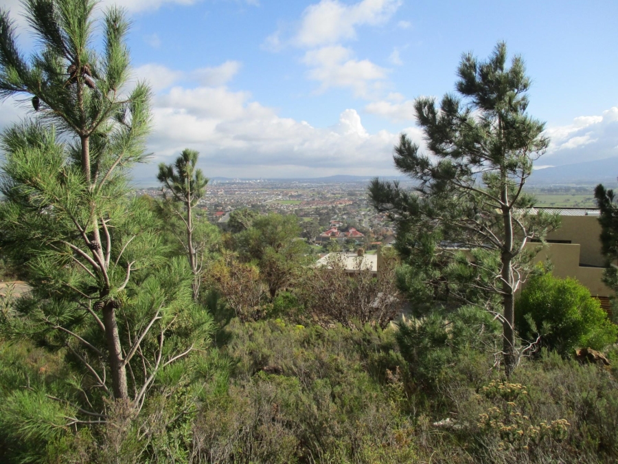 0 Bedroom Property for Sale in Mountainside Western Cape